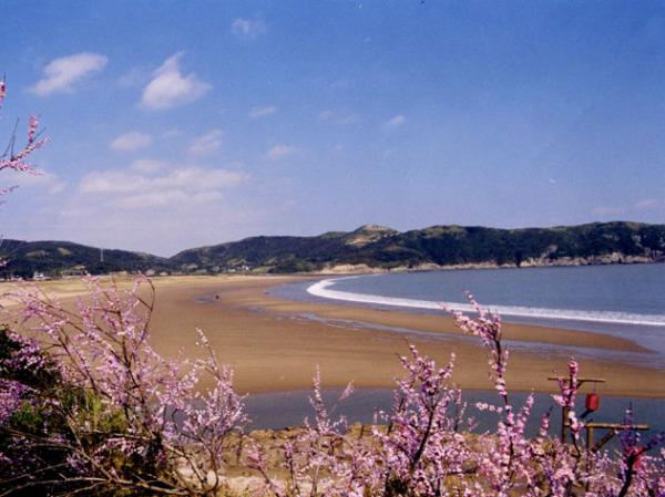 【五一】5月舟山桃花岛露营游玩