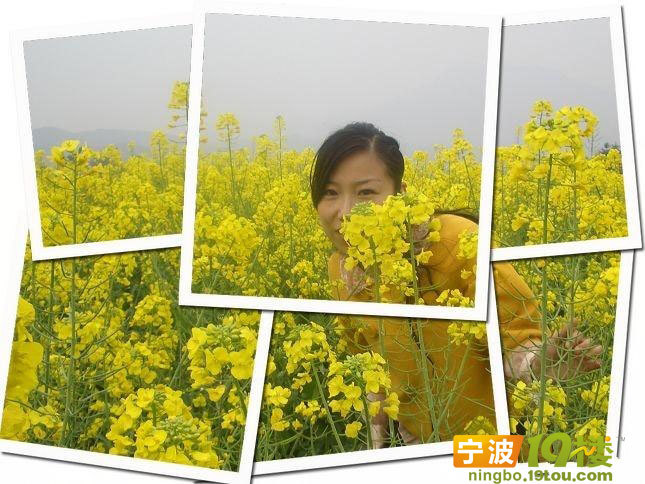 男银们有活干啦:宁波气质v气质(配香车美女图)美女a气质美女图片图片