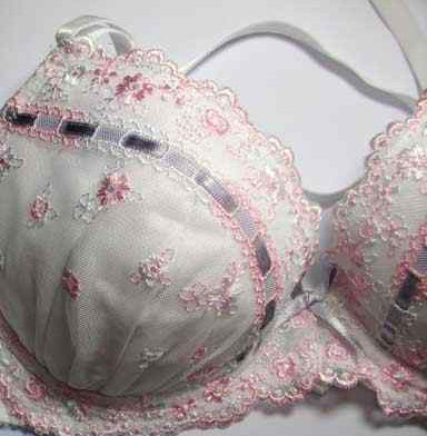 曝光黛安芬 <em>劣质胸罩</em> 戴着出血了 图-热点爆料