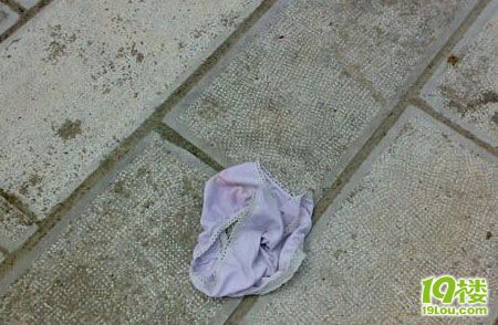 政府办公大楼门口<em>一只</em>孤独红<em>胸罩</em>(图)-宁波消息