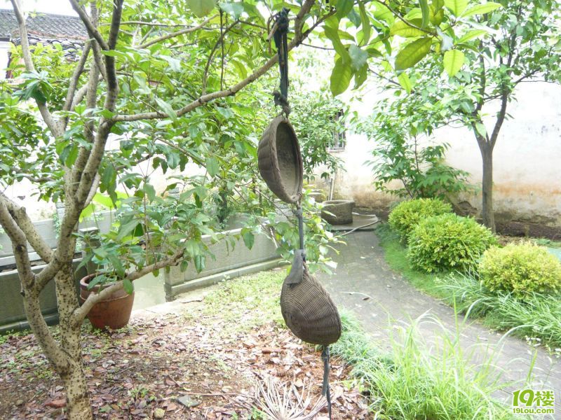 诸葛长乐村的奇珍异宝-结伴游玩-宁波19楼