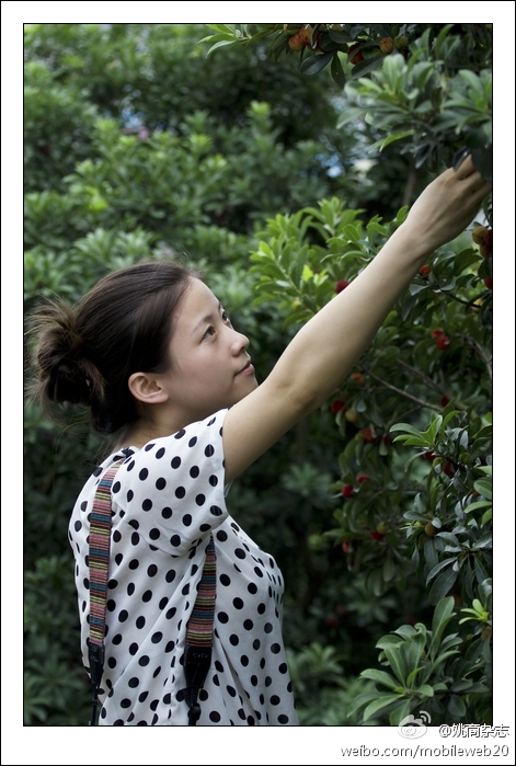 美丽的余姚杨梅代言mm-好摄-摄影部落-宁波1