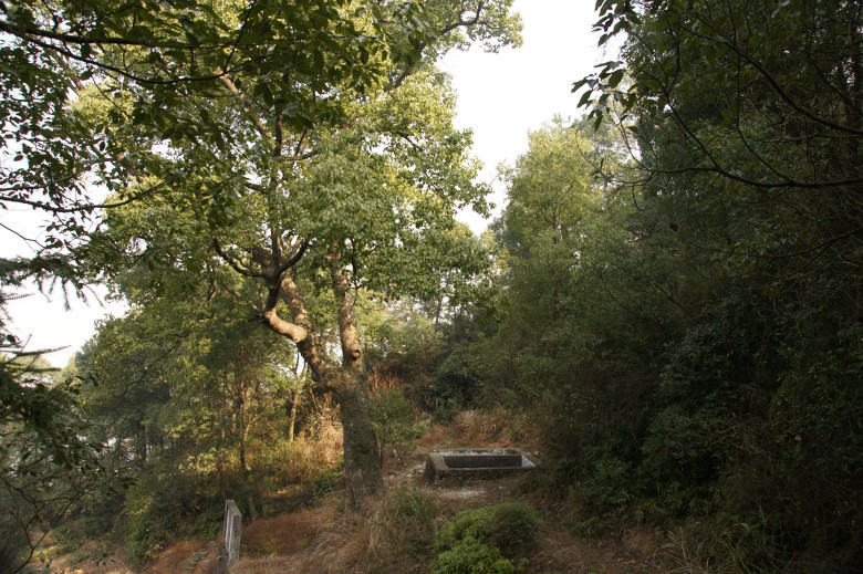 衢州名寺西山寺