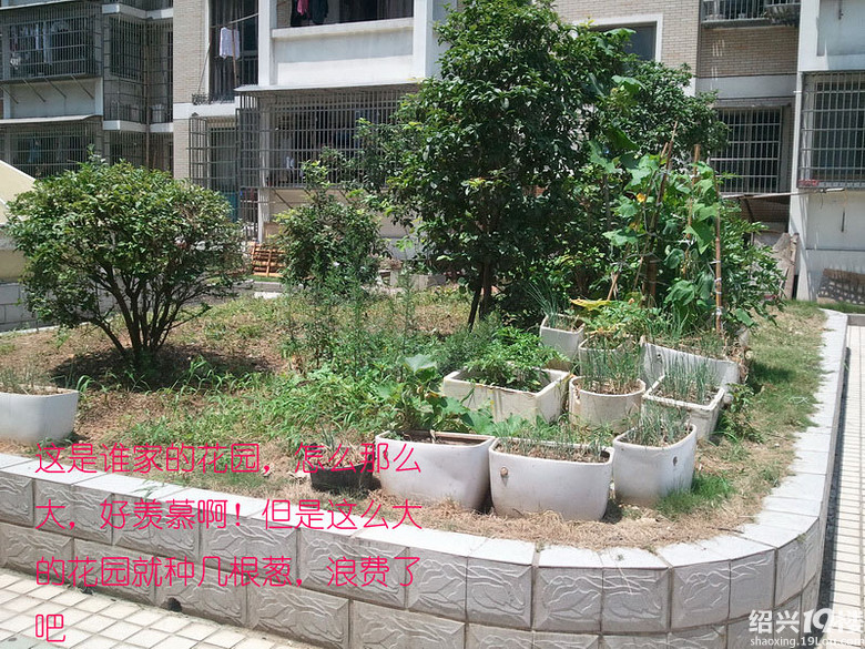 柯桥梅园小区,太牛X了,柯桥是还是文明城镇吗