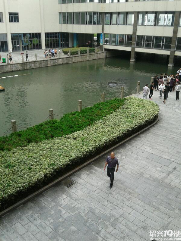 油门当刹车, 女司机 一脚开进了 河里 -爆料-绍兴茶