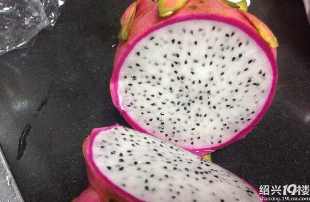 大象与猩猩真的坑爆了!-爆料-绍兴茶馆-绍兴19