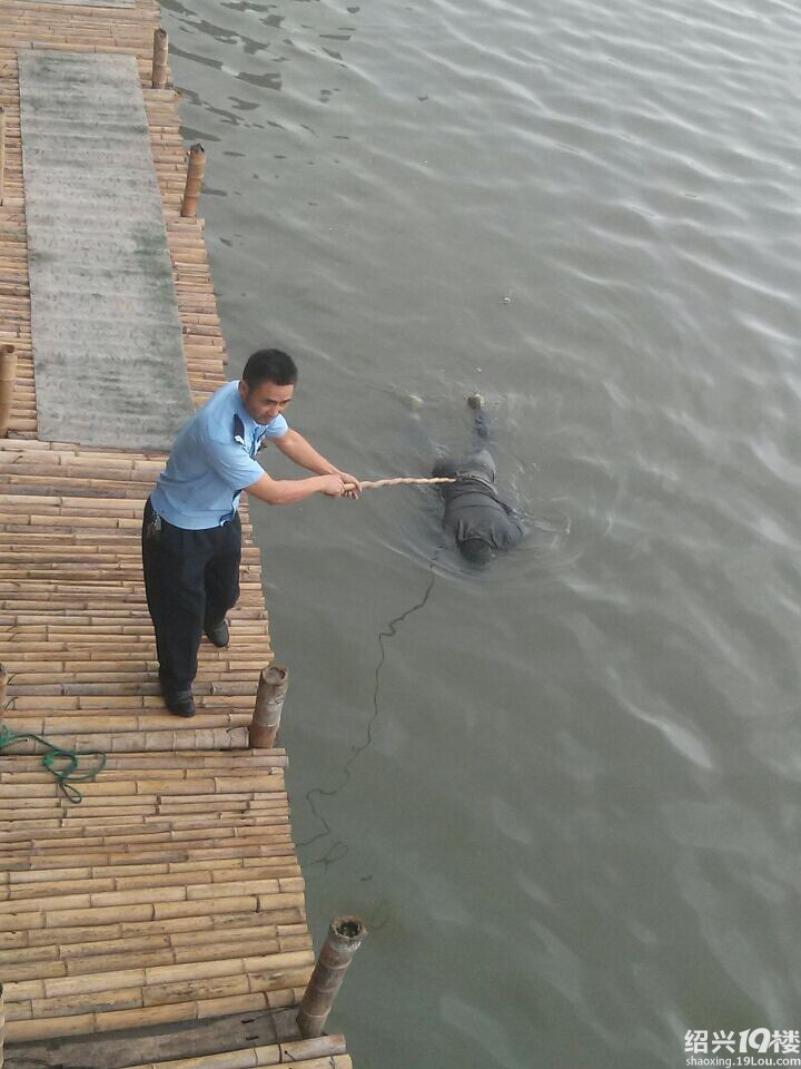 早上看到泗汇江桥下警察在捞尸体-爆料-绍兴茶