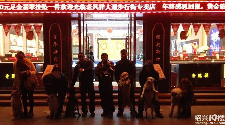 上虞爱宠<em>单身男女</em>等待<em>有缘</em>的TA.-爆料-绍兴茶
