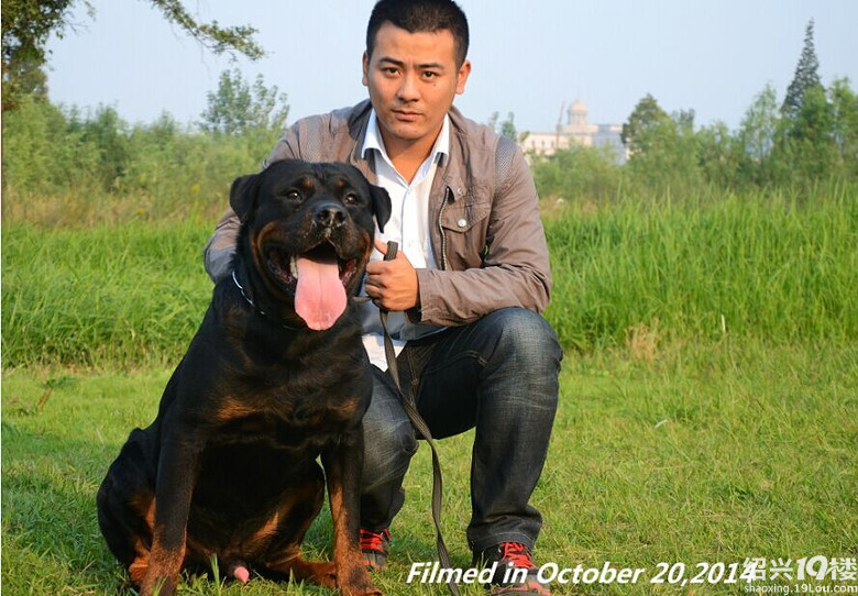 上虞爱宠<em>单身男女</em>等待<em>有缘</em>的TA.-爆料-绍兴茶