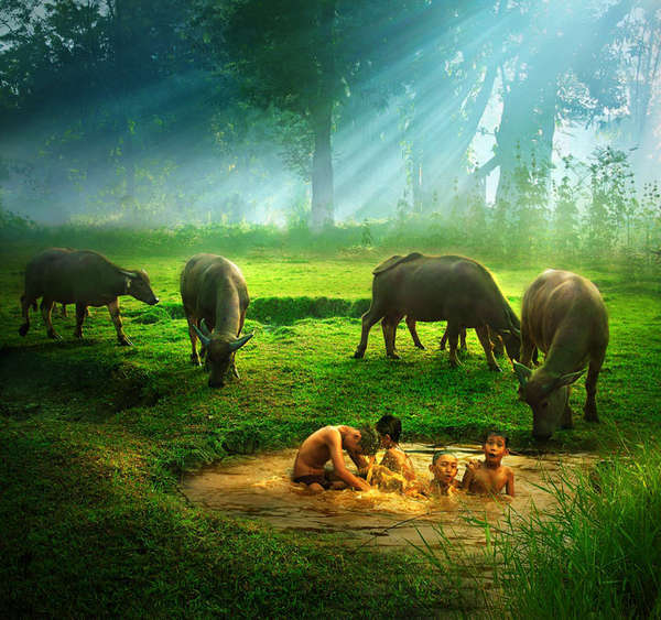 晨曦中的小乡村-新昌论坛-绍兴19楼