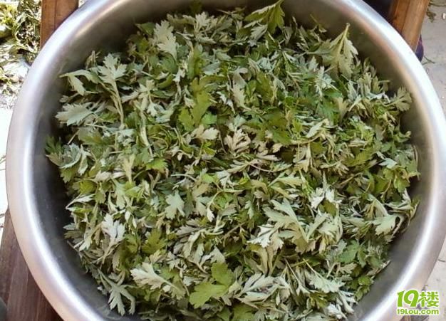 绍兴人手艺最牛叉 清明节自己做艾饺(图)-绍兴