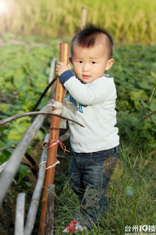 我是口水小王子莫小莫,之--去田野里亲近大自然