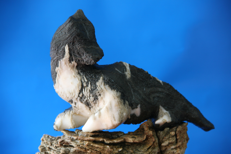 世界上最贵最美的石头,你见过几个?不看别后悔哦!-电视新闻综合频道-台州19楼