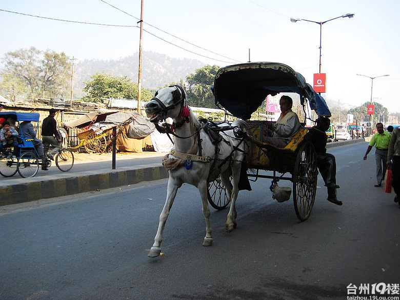 印度、尼泊尔自由行之旅(PP已上传完)-游记攻