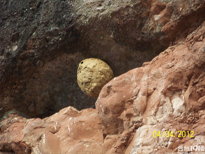 赤城山上的马蜂窝-游记攻略-台州旅游-台州19