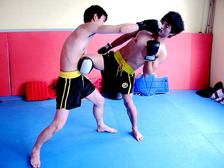 台州散打,咏春拳,截拳道,空手道,跆拳道,太极品