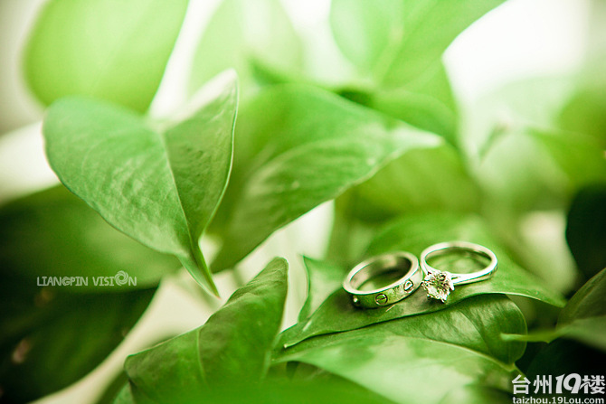 吾影良品招聘-后期制作-月薪2000-2999元-19楼