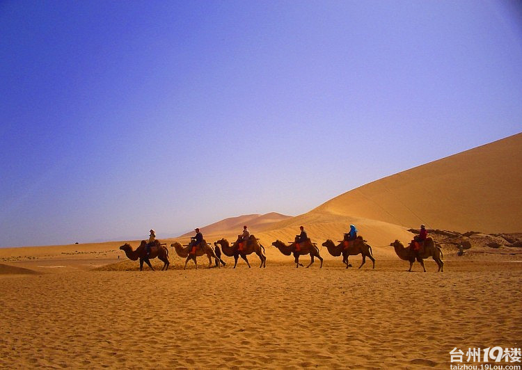 5月中旬丝绸之路敦煌到拉萨-活动-台州旅游-台