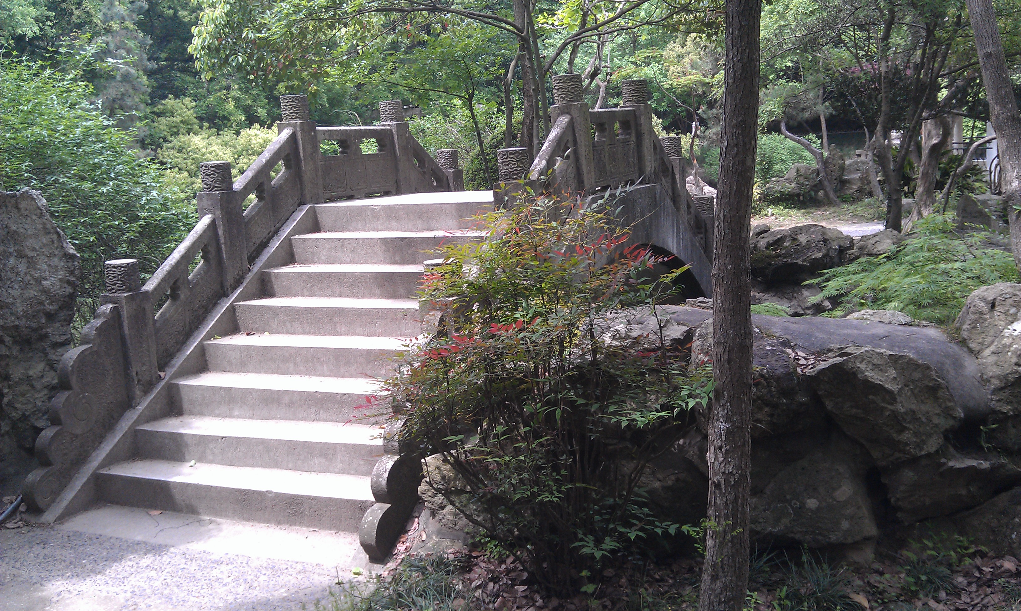 儿时的春游——黄岩九峰公园