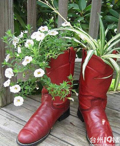叫停皮革胶囊,旧鞋变花盆,多姿多彩旧鞋新处