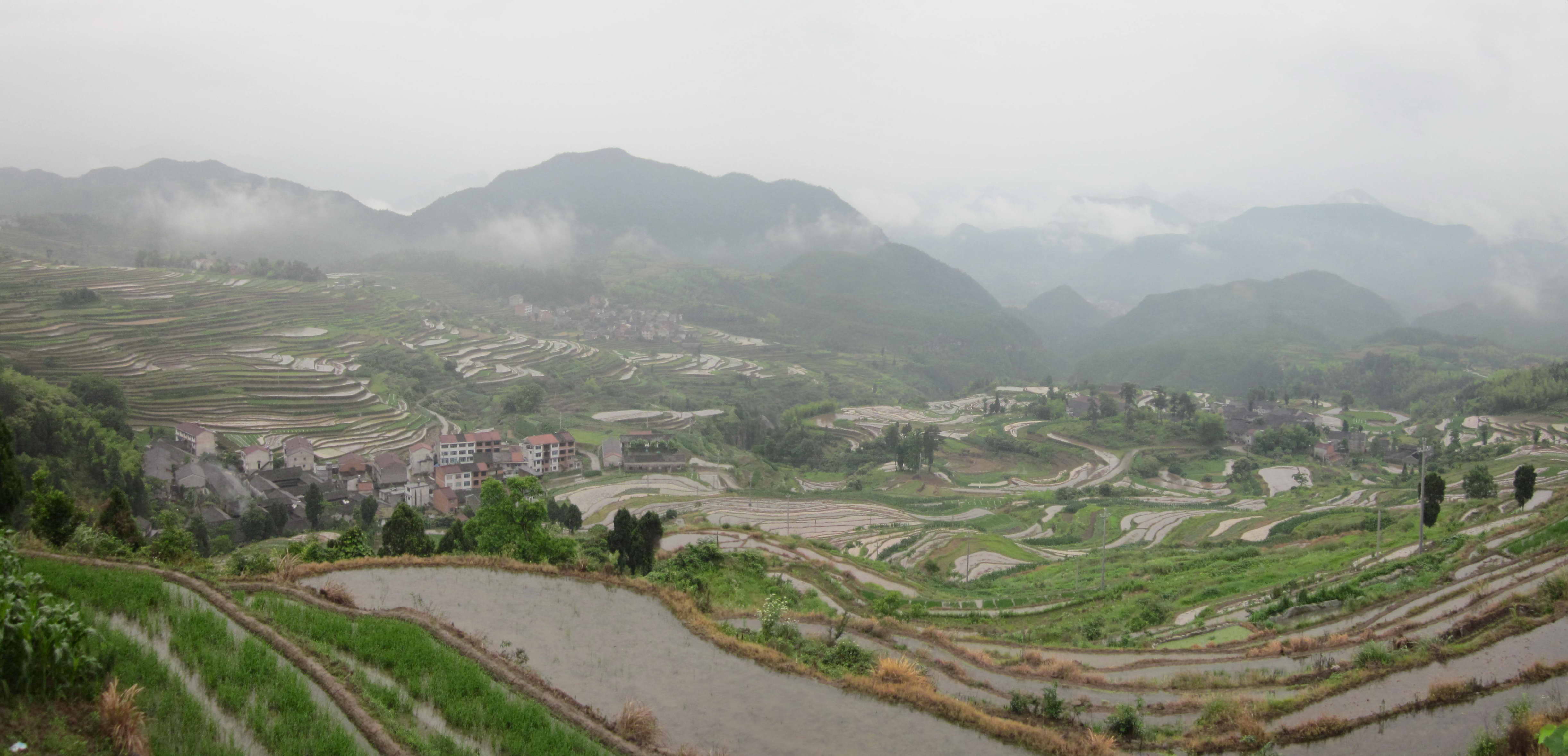 仙居朱溪杨丰山下下塘村梯田