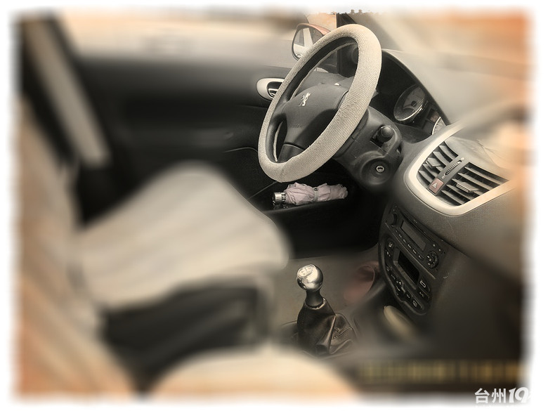 【抢车牌框】+小狮子207的用车体会-拉风汽车