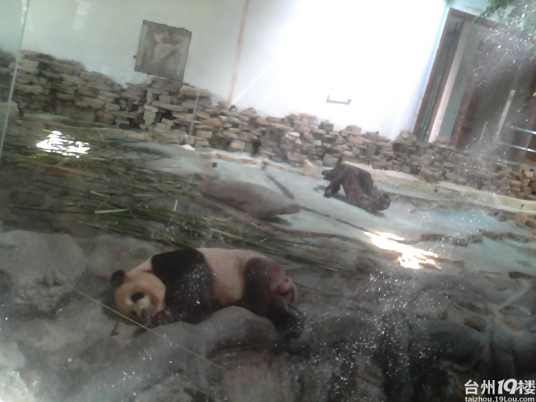 我也来洒洒温岭方山美景-活动-台州旅游-台州1