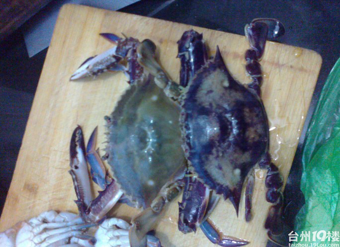 爆料温岭有人买的变异紫色螃蟹