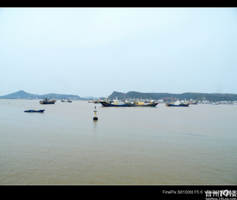 直播:温岭东海塘油菜花、大风车、沙滩、渔船