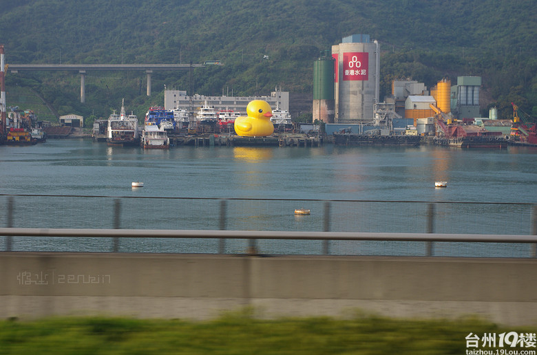 香港、澳门五一3日游---海洋公园看海豚,迪斯尼