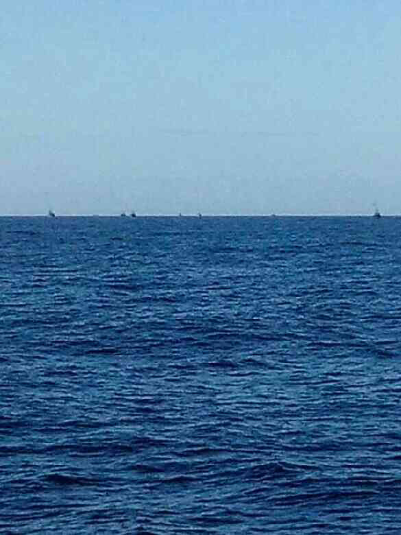 台州的禁渔期-讲白搭-台州19楼