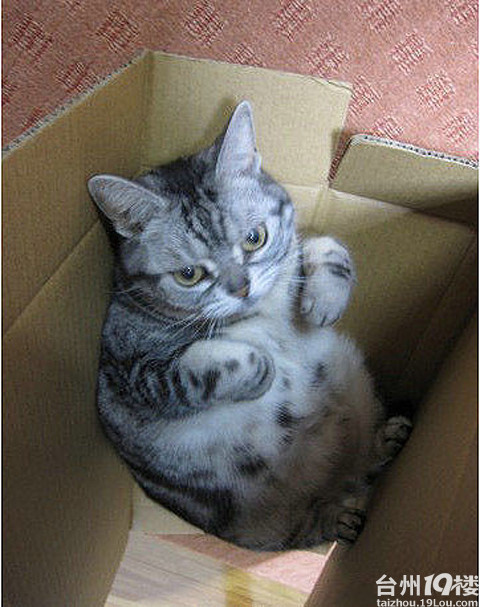 爆笑经典冷笑话