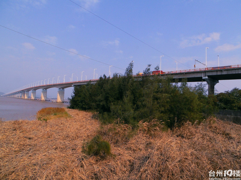 椒江一桥-我拍我秀-摄影部落-台州19楼