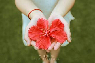 早安心语-情感生活-台州19楼