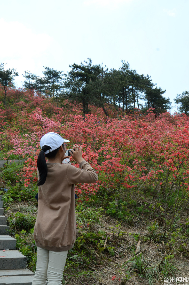 磐安杜鹃花节