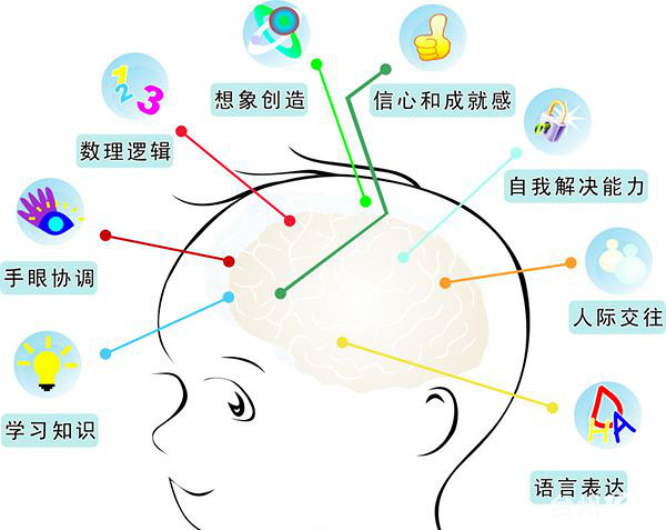 用身边的实物就可开发孩子的大脑你知道吗