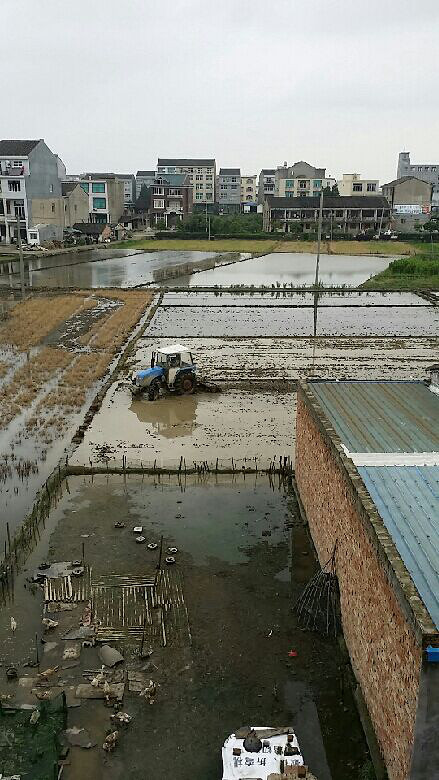 五水共治。有脏兮兮臭烘烘中厢村养鸭场-讲白