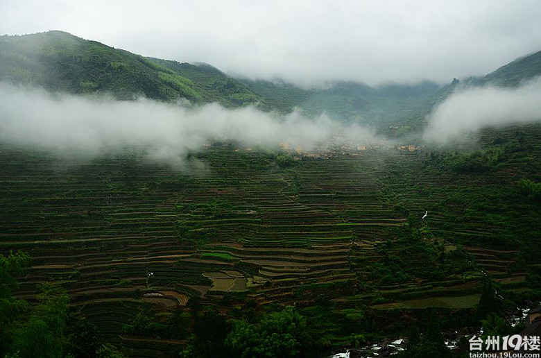 浙江最美村落之一遂昌.大柯古村;农家乐,避暑、