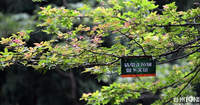 龙王18潭公益环保活动---捡垃圾的快乐!转自网