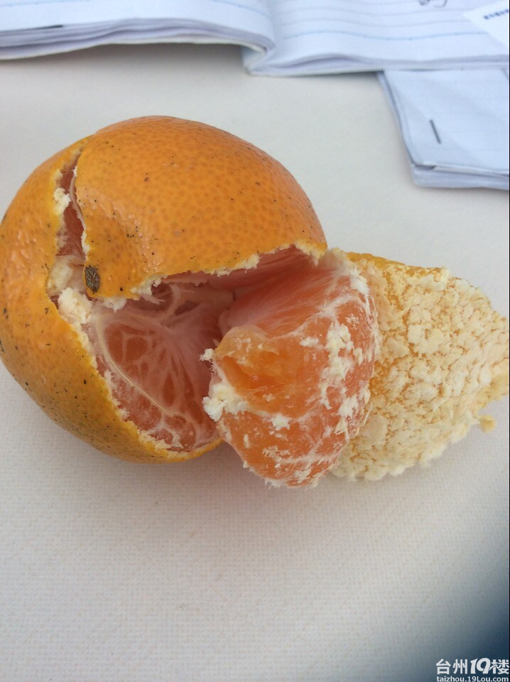 卖橘子喽 自家种的黄岩蜜桔-美食杂谈-台州美食