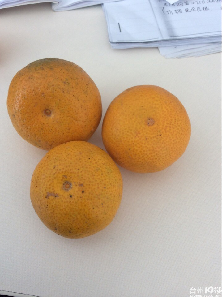 卖橘子喽 自家种的黄岩蜜桔-美食杂谈-台州美食