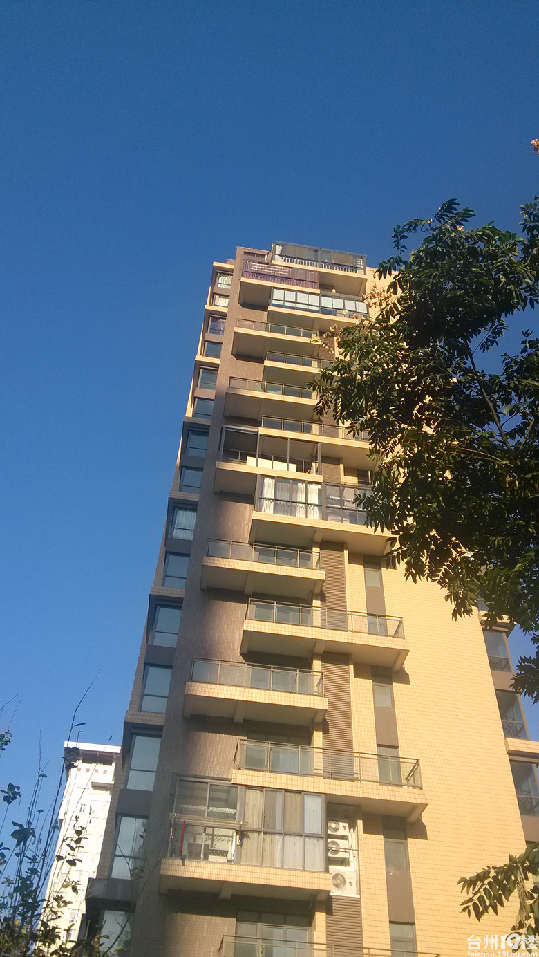 天台最牛X的违建,居然政府部门管不了? -现场