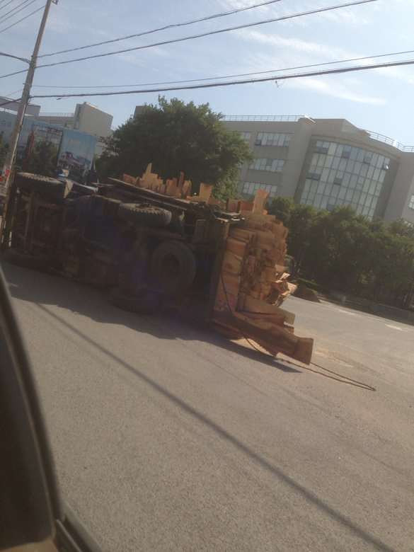 椒江滨海工业园区八条路口,它就是伸了个懒腰