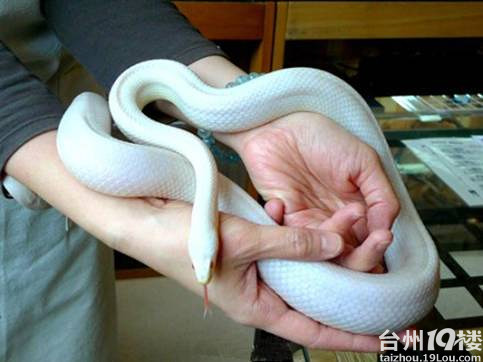 日本自由行之二次元世界童年回味之旅-游记攻