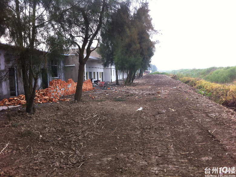 向路桥区区委书记反映