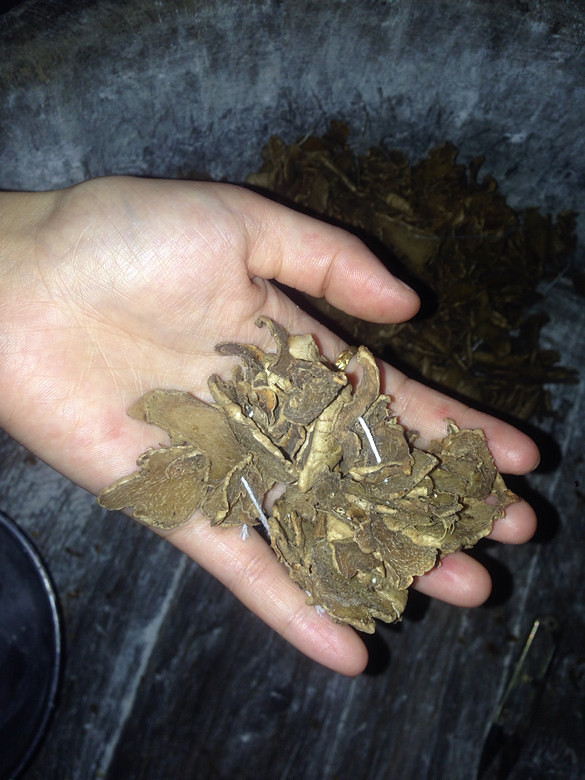 炒姜米咯、热火朝天!-讲白搭-台州19楼