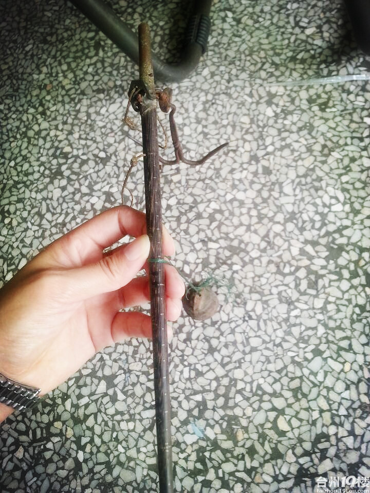 天地之间有杆秤,公道自在人心-我要说的-讲白搭