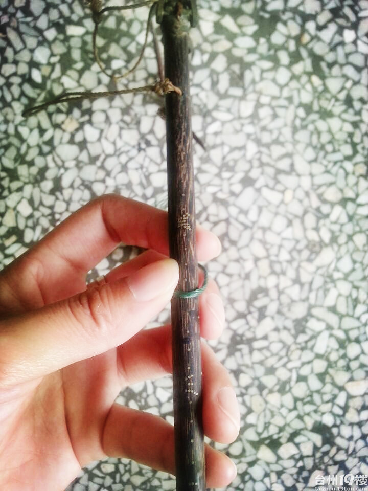 天地之间有杆秤,公道自在人心-我要说的-讲白搭