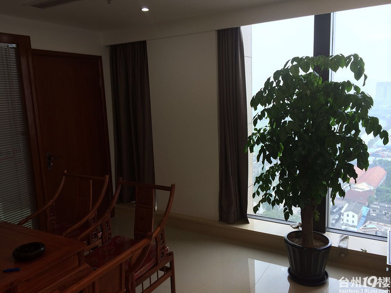 路桥金泰担保招聘网销业务员,轻松月入5000+