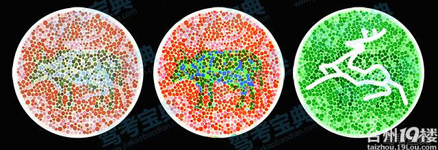 堂】因为这两张图片,中国5%的人不能考驾照-开